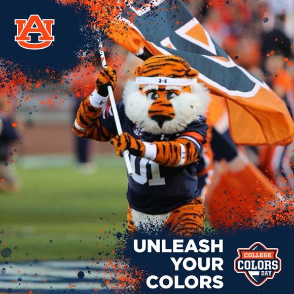 Meet your Posher, Ren - Picture 1 of 1